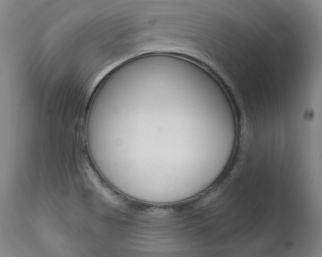 X0000111581513200907161143