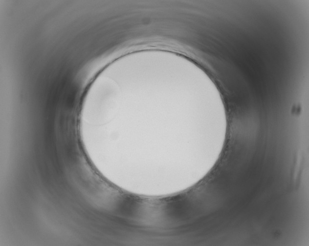 X0000111581514200907161143