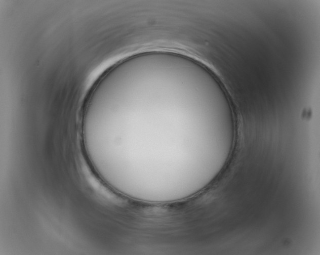 X0000111581515200907161143