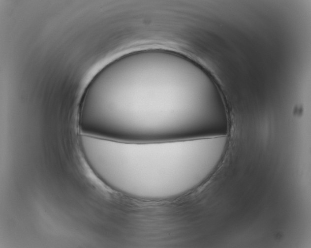 X0000111581516200907161143
