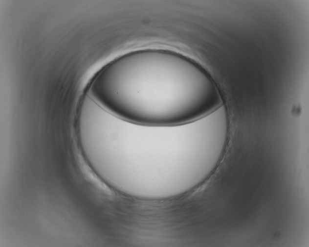 X0000111581518200907161143