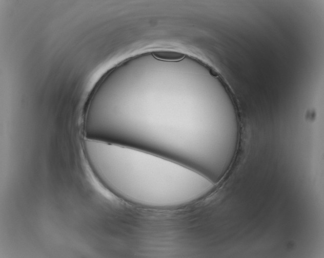X0000111581519200907161143