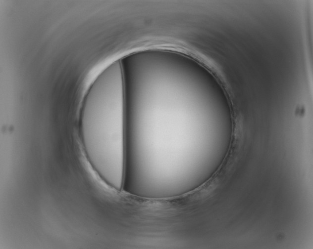 X0000111581520200907161143