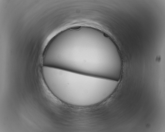 X0000111581522200907161143