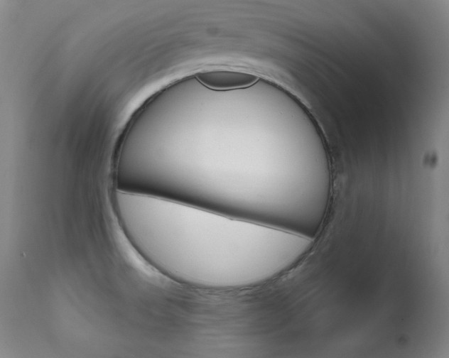 X0000111581523200907161143