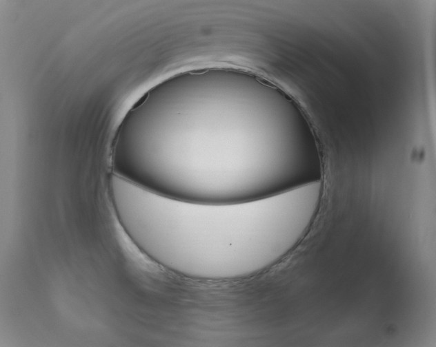 X0000111581524200907161143