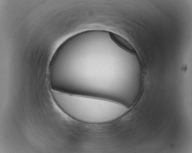 X0000111581527200907161143