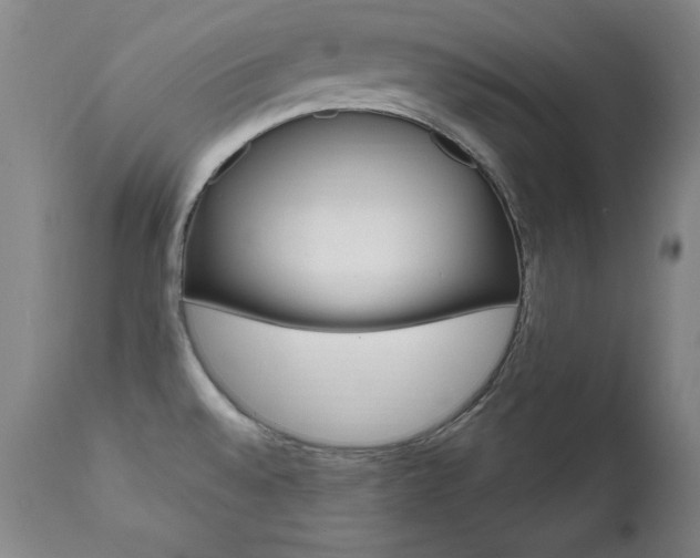 X0000111581528200907161143