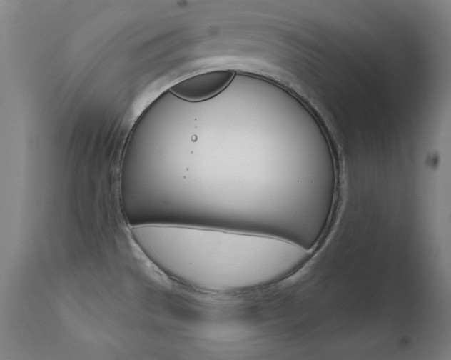 X0000111581529200907161143