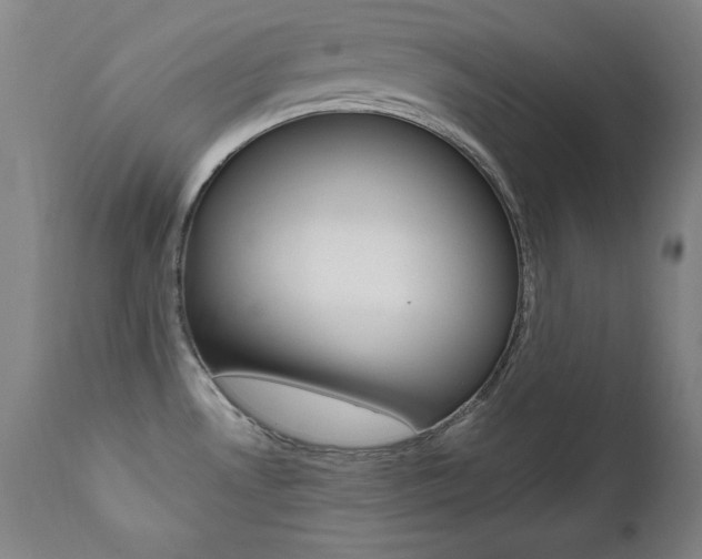 X0000111581530200907161143