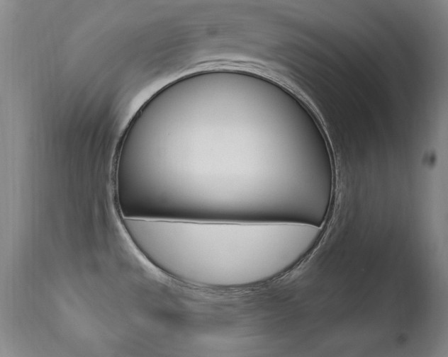 X0000111581533200907161143