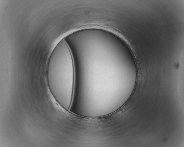 X0000111581534200907161143