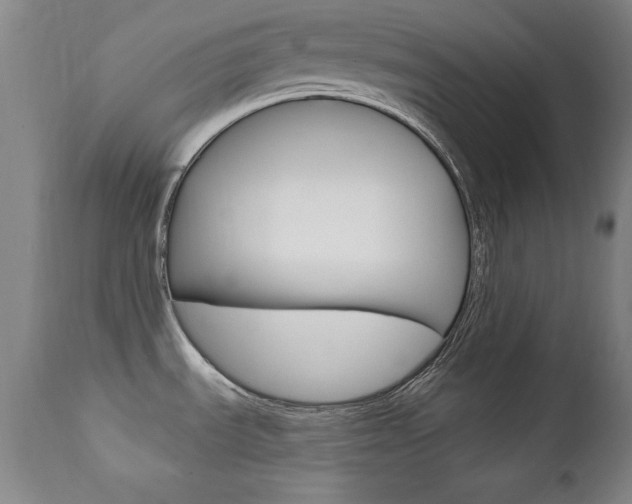 X0000111581535200907161143
