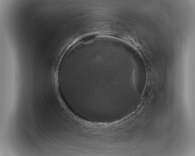 X0000111580002200907161434