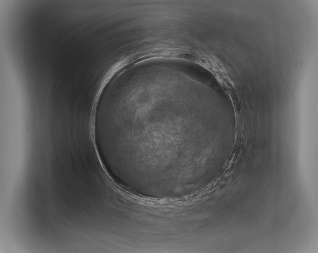 X0000111580003200907161434