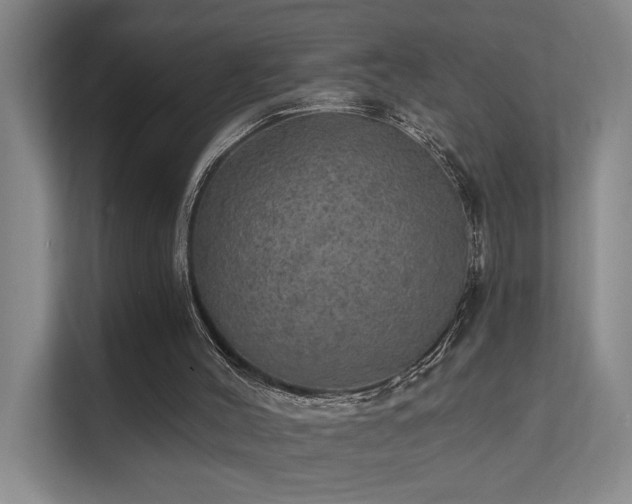 X0000111580004200907161434