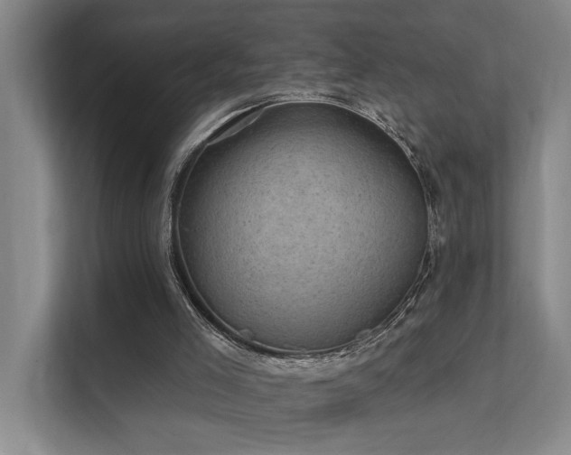 X0000111580005200907161434