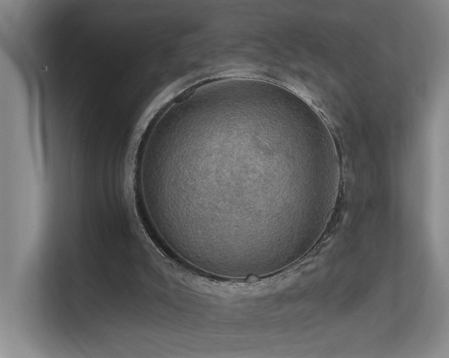 X0000111580007200907161434