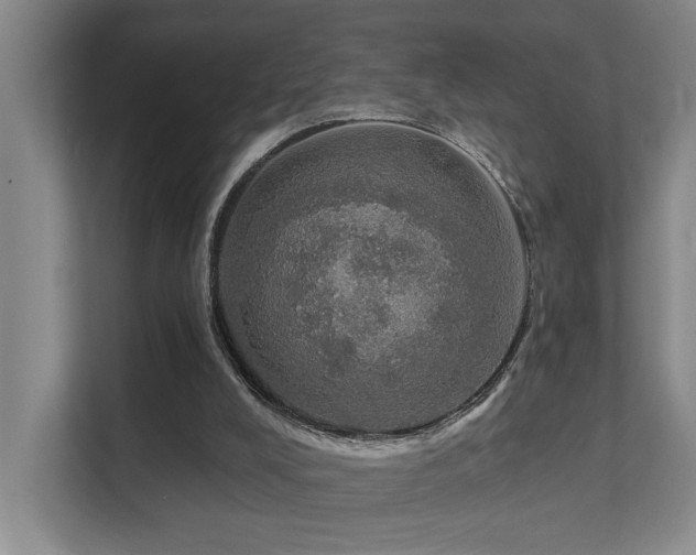 X0000111580008200907161434