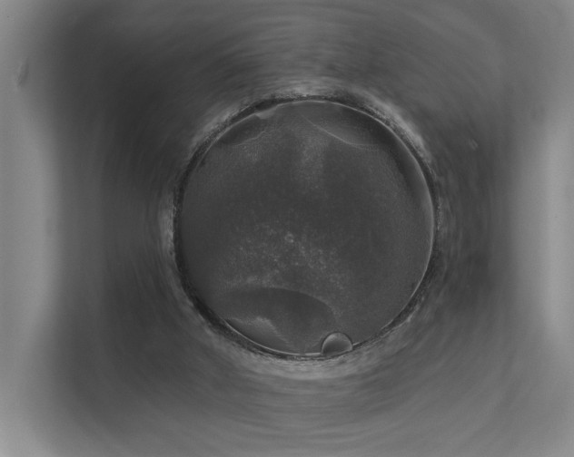 X0000111580010200907161434