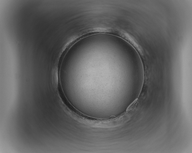 X0000111580011200907161434