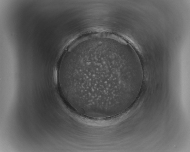 X0000111580014200907161434