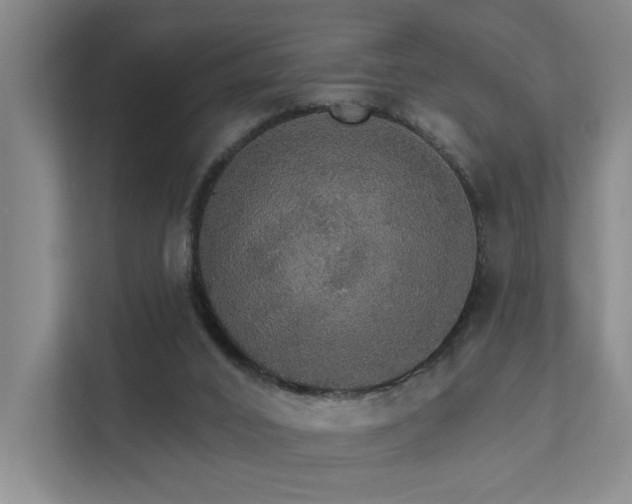 X0000111580016200907161434