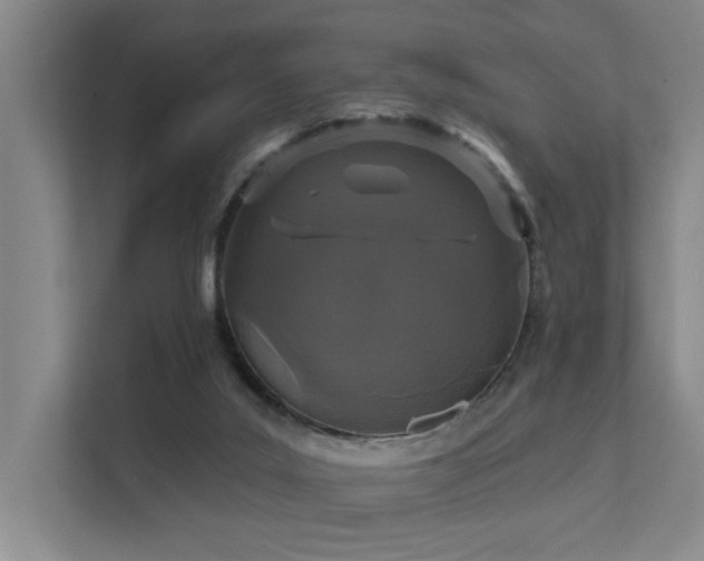 X0000111580019200907161434