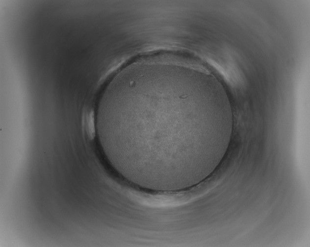 X0000111580020200907161434