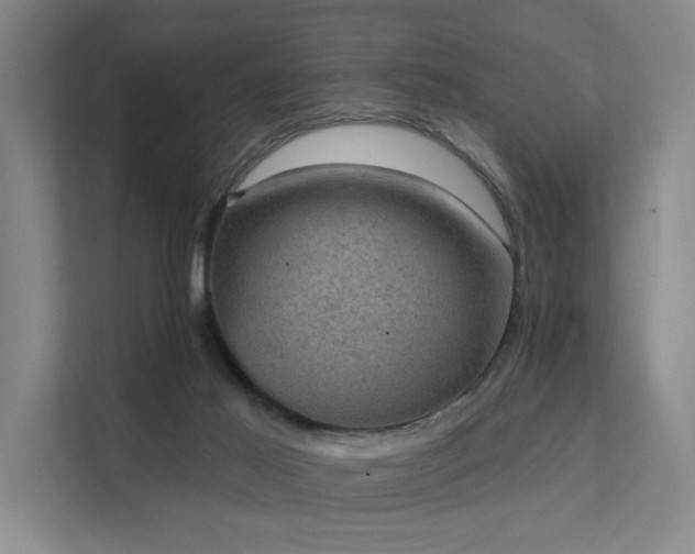 X0000111580021200907161434