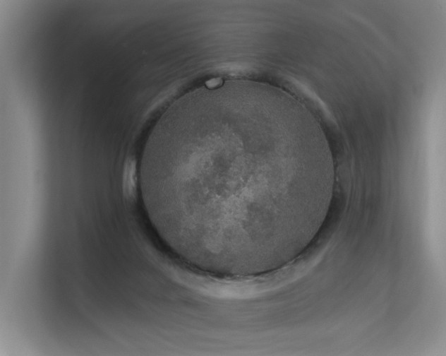 X0000111580024200907161434