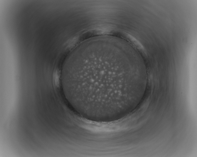 X0000111580026200907161434