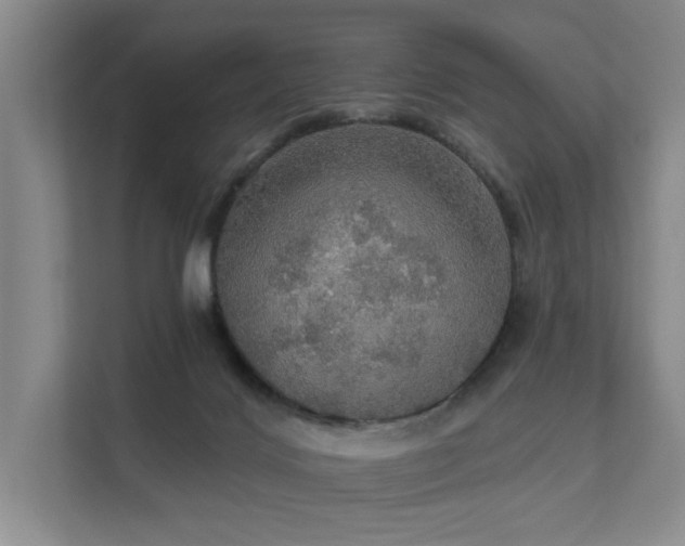 X0000111580028200907161434