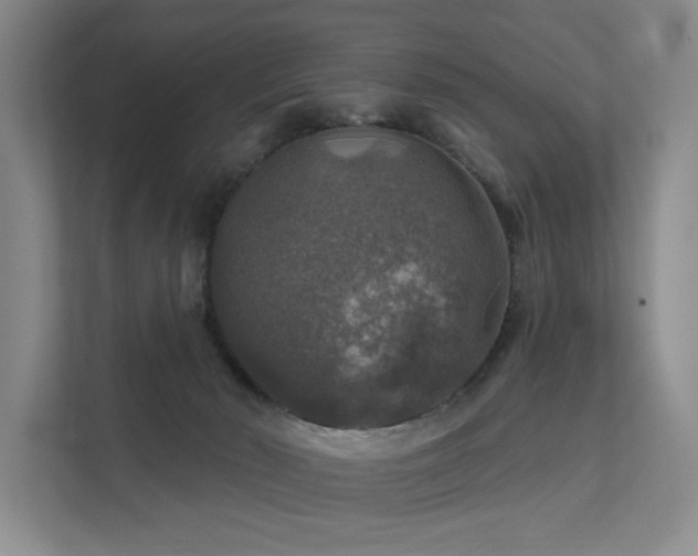 X0000111580030200907161434