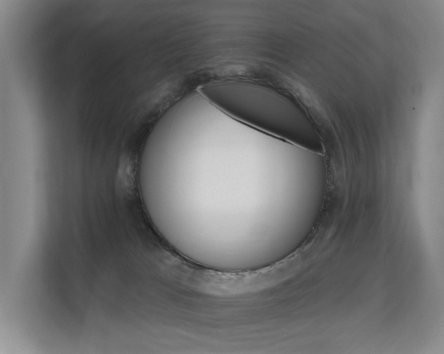 X0000111580037200907161434