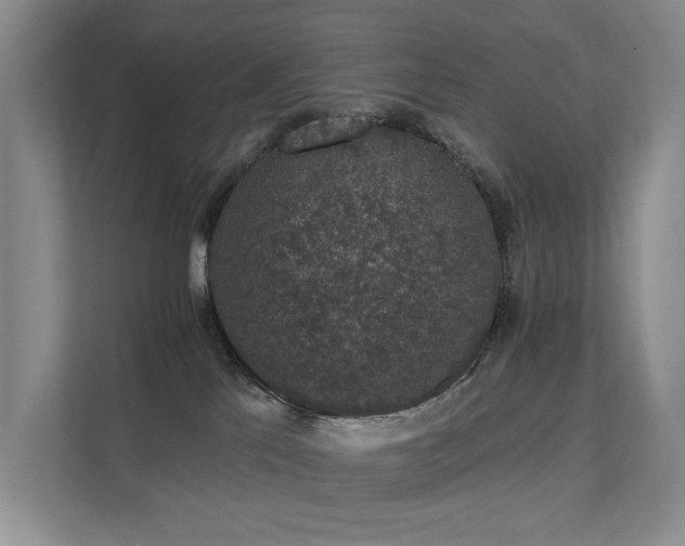 X0000111580041200907161434