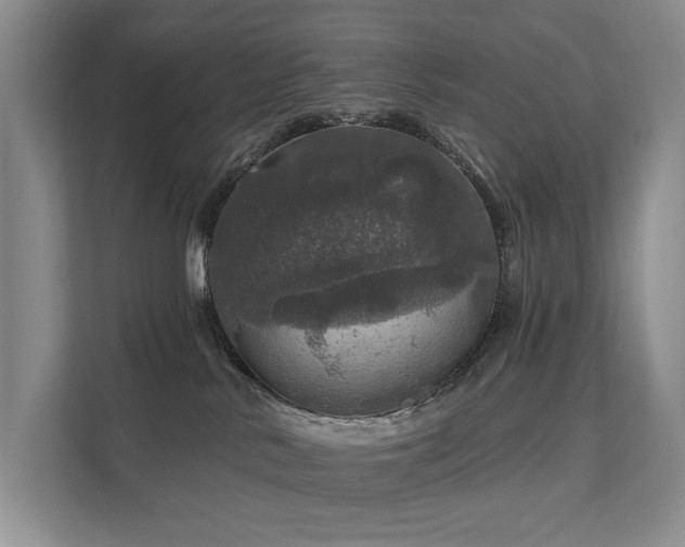 X0000111580042200907161434