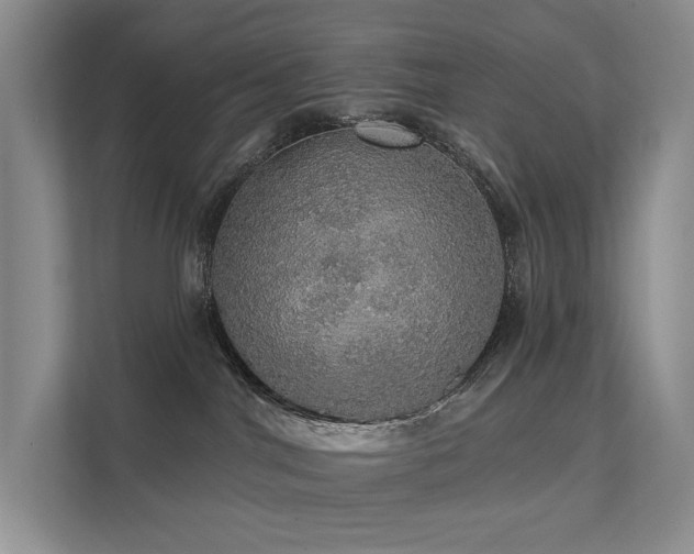 X0000111580044200907161434