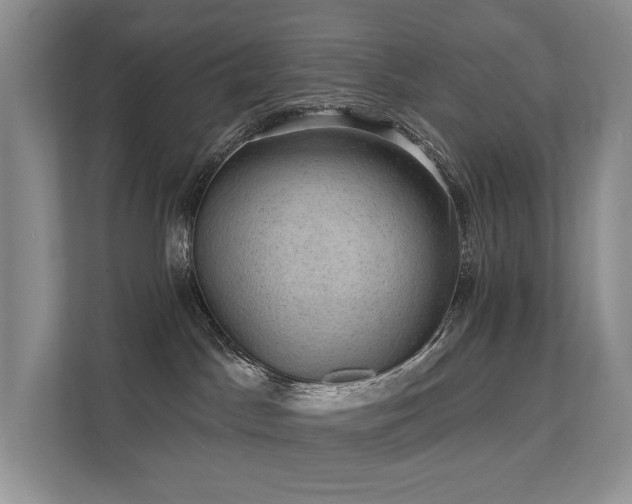 X0000111580045200907161434