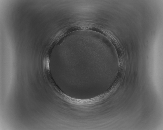 X0000111580046200907161434