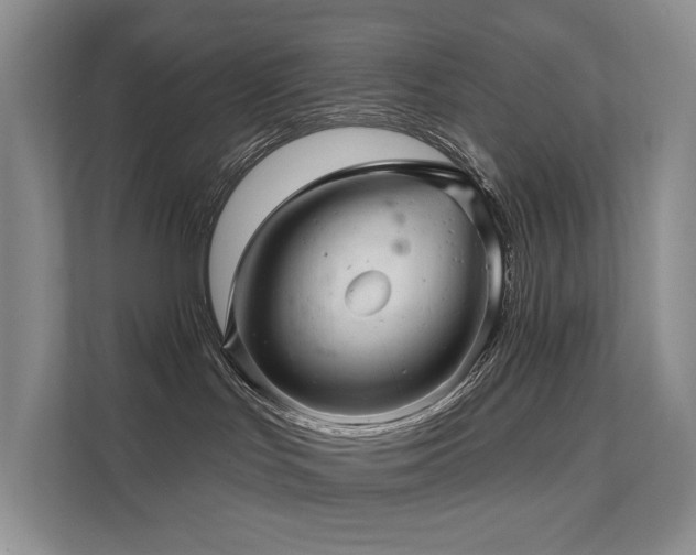 X0000111580047200907161434
