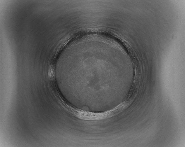 X0000111580048200907161434