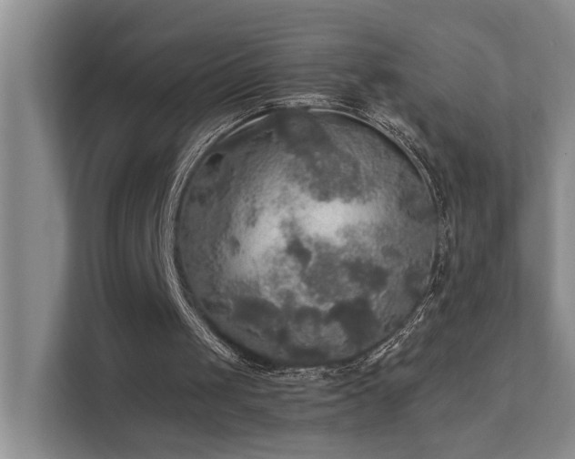 X0000111580049200907161433
