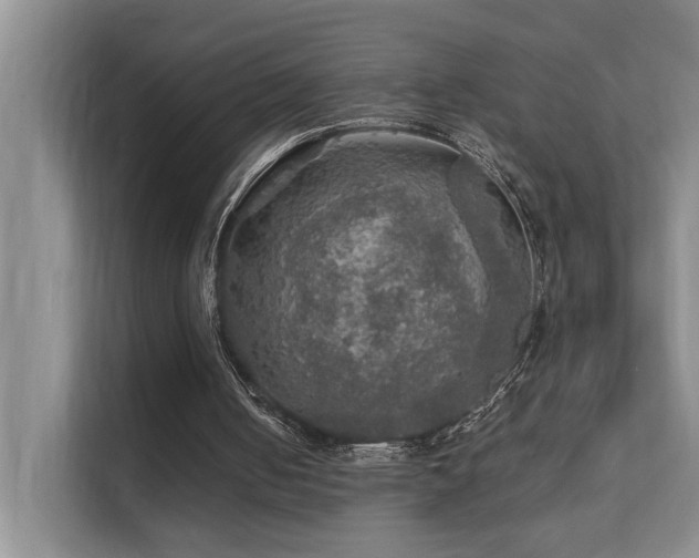 X0000111580050200907161433
