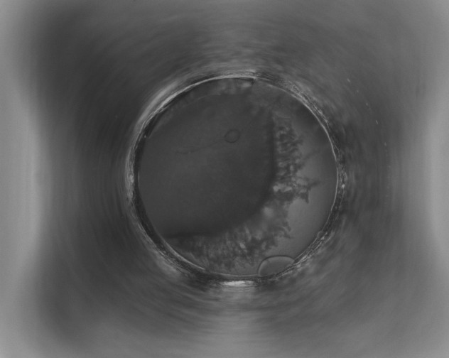 X0000111580053200907161433