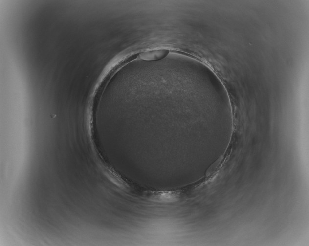 X0000111580056200907161433