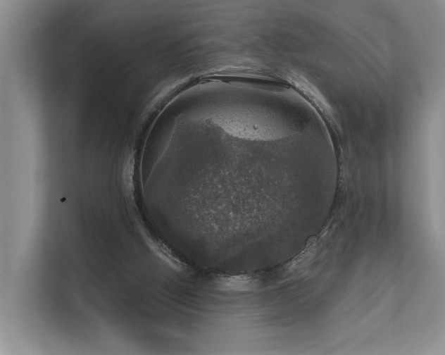 X0000111580058200907161433