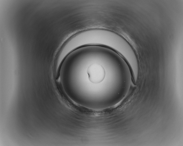 X0000111580060200907161433