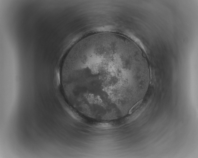 X0000111580061200907161433