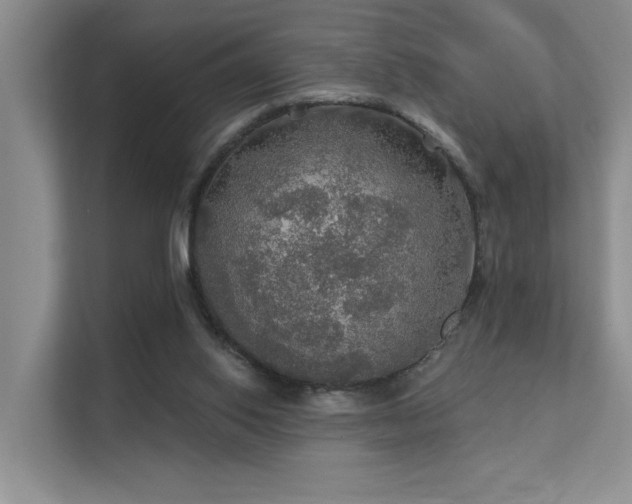 X0000111580062200907161433